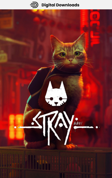 Stray PC (Steam Account)